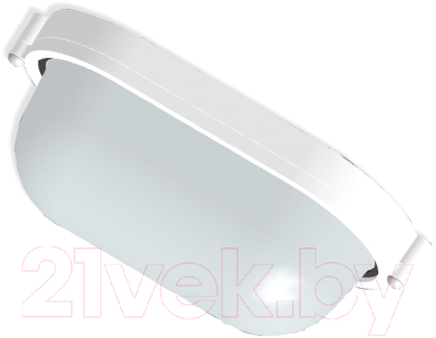 Светильник ЖКХ Элетех Банник 1401 НПП 03-60-021 / 1005500938 - фото