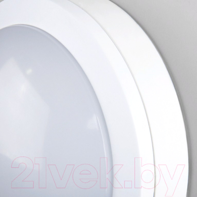 Бра уличное Elektrostandard LTB51 LED 15W 6500K