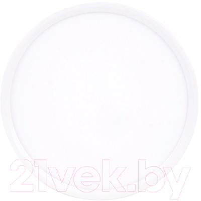 Потолочный светильник Ambrella DLR316