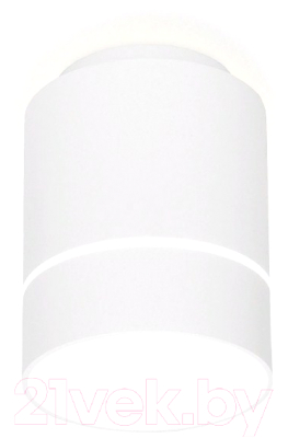 Точечный светильник Ambrella TN255 WH/S - фото