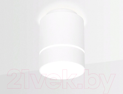 Точечный светильник Ambrella TN255 WH/S