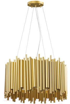 Потолочный светильник Lightstar Savona 816102 - фото