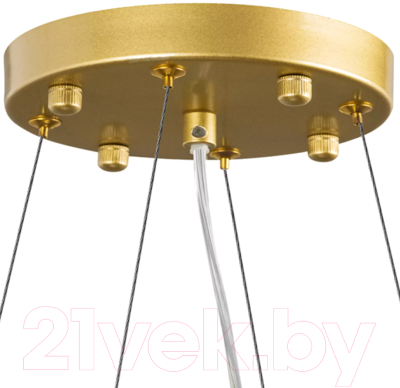 Потолочный светильник Lightstar Savona 816102