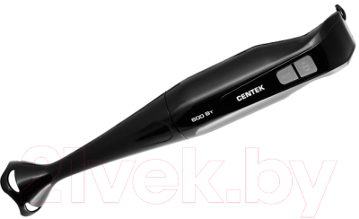 Блендер погружной Centek CT-1341 (черный)