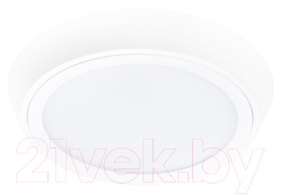 Потолочный светильник Lightstar Urbano 216904 - фото