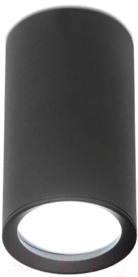 Точечный светильник Ambrella TN221 BK/S - фото