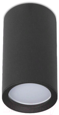 Точечный светильник Ambrella TN221 BK/S