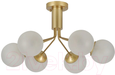 Люстра F-Promo F-Promo Pax 2631-6U - фото