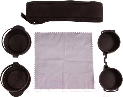 Бинокль Levenhuk Karma BASE 10x32 / 74165