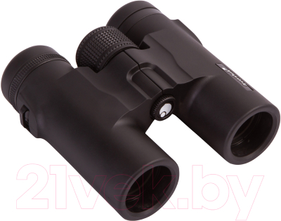 Бинокль Levenhuk Karma BASE 10x32 / 74165