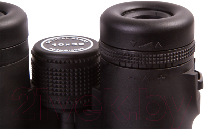 Бинокль Levenhuk Karma BASE 10x32 / 74165