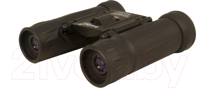 Бинокль Levenhuk Atom 8x21 / 67675