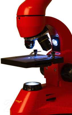 Микроскоп оптический Levenhuk Rainbow 50L Plus / 69055 (Orange)