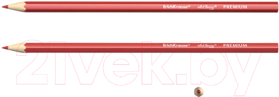 Набор цветных карандашей Erich Krause Premium / 32483