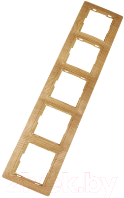 Рамка для выключателей и розеток TDM Таймыр SQ1814-0232 - фото