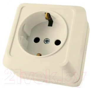 Розетка TDM Ладога SQ1801-0211 - фото