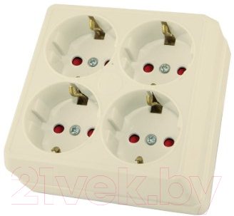 Розетка TDM Ладога SQ1801-0223 - фото