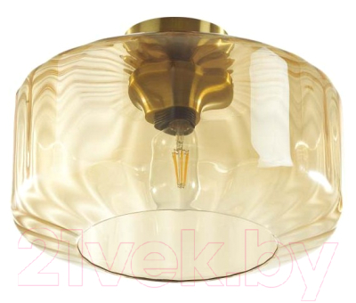 Потолочный светильник Odeon Light Binga 4747/1C - фото