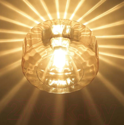 Потолочный светильник Odeon Light Binga 4747/1C