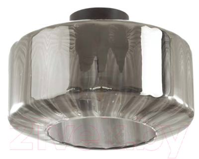 Потолочный светильник Odeon Light Binga 4746/1C - фото