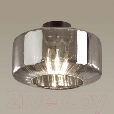 Потолочный светильник Odeon Light Binga 4746/1C