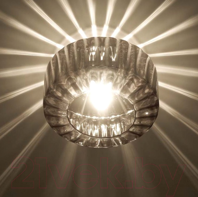 Потолочный светильник Odeon Light Binga 4746/1C