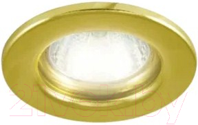 Точечный светильник TDM SQ0359-0023 - фото