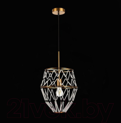 Потолочный светильник ST Luce Narrio SL1016.213.01