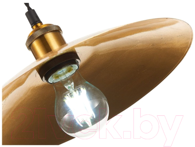 Потолочный светильник ST Luce Romo SL1017.203.01