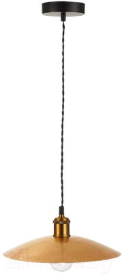 Потолочный светильник ST Luce Romo SL1017.203.01