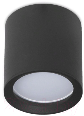 Точечный светильник Ambrella TN214 BK/S