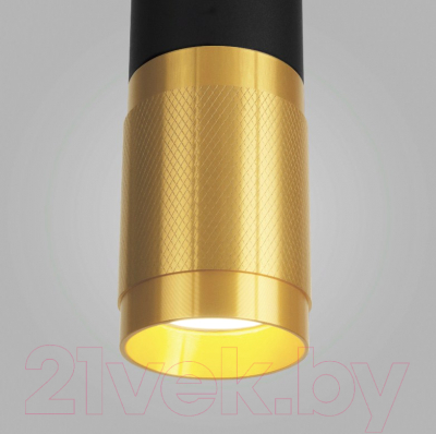 Потолочный светильник Elektrostandard DLN108 GU10