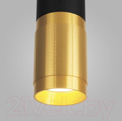 Потолочный светильник Elektrostandard DLN108 GU10