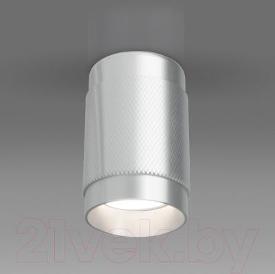 Точечный светильник Elektrostandard DLN109 GU10 (серебристый)