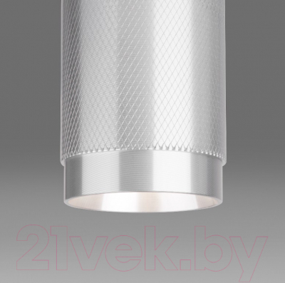 Точечный светильник Elektrostandard DLN109 GU10 (серебристый)