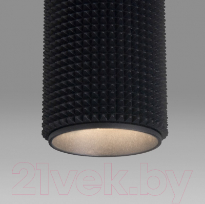 Точечный светильник Elektrostandard DLN112 GU10 (черный)