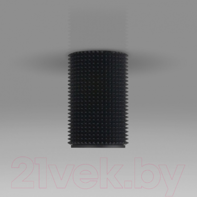 Точечный светильник Elektrostandard DLN112 GU10 (черный)