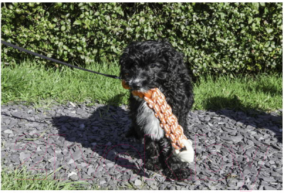 Игрушка для собак Rosewood Рыбка с канатным центром / 40217/RW