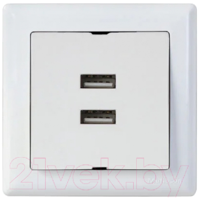 Розетка Mutlusan Daria 2120 449 0101 - фото