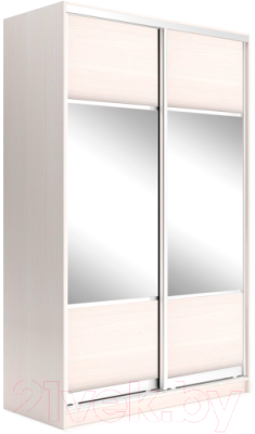 Шкаф-купе Евва 120 ВS.01 / АЭП ШК.2 03 (бодега/хром) - фото