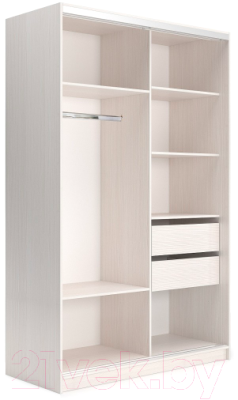 Шкаф-купе Евва 120 ВS.01 / АЭП ШК.2 03 (бодега/хром)