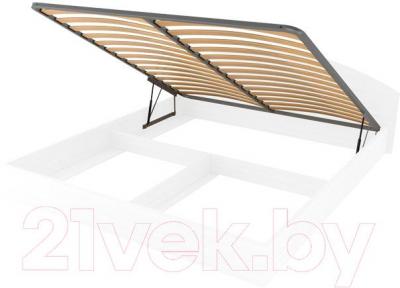 Ортопедическое основание Vegas Стандарт 140x190 - фото