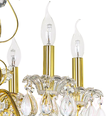 Люстра Lightstar Schon 790062