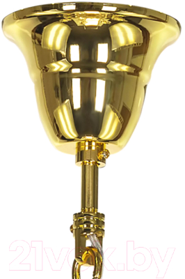 Люстра Lightstar Schon 790062