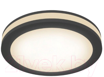 Потолочный светильник Maytoni Phanton DL303-L12B4K - фото