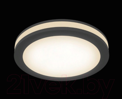 Потолочный светильник Maytoni Phanton DL303-L12B4K