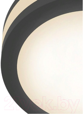 Потолочный светильник Maytoni Phanton DL303-L12B4K