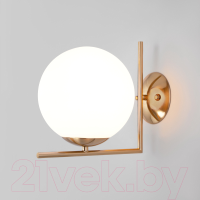 Спот Евросвет 70153/1