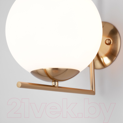 Спот Евросвет 70153/1