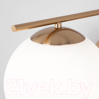 Спот Евросвет 70153/1